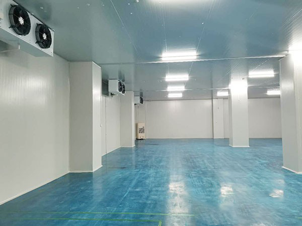 建個1000平方米的冷庫要多少錢？