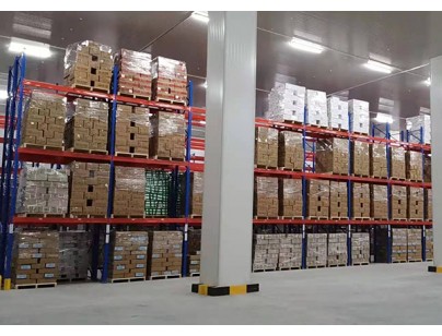 湖南宇培10000㎡農(nóng)產(chǎn)品冷鏈物流冷藏庫（低溫冷庫）工程案例