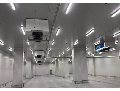 湖北周黑鴨80000m3生產(chǎn)加工型成品低溫食品冷庫(kù)工程建造方案