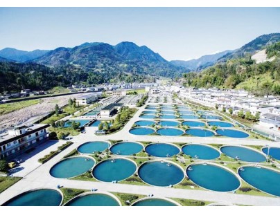 湖北天峽鱘業(yè)300㎡-20℃（水產(chǎn)速凍庫(kù)）低溫冷庫(kù)工程建造案例