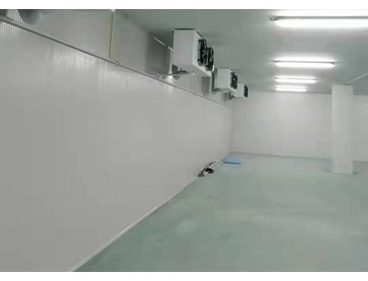 遠大（杭州）48000m3生物醫(yī)藥冷庫規(guī)劃建造工程案例