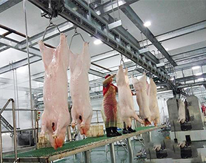 屠宰冷庫冷量計(jì)算方法