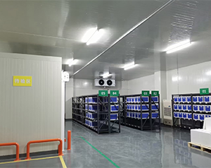 藥企公司建造低溫醫(yī)藥冷庫的方案和預(yù)算？