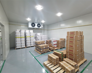 gsp醫(yī)藥冷庫(kù)(疫苗冷庫(kù))建造多大面積合適