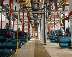 常州自動化冷庫設(shè)計方案