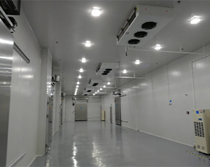 醫(yī)藥冷庫(kù)建造這些您了解嗎？藥品冷庫(kù)建設(shè)多少錢