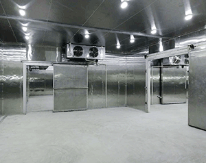 凈化車間冷庫設(shè)計(jì)規(guī)范,潔凈冷庫安裝規(guī)范標(biāo)準(zhǔn)要求