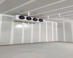 水果冷庫(kù)建設(shè)多少錢一平方