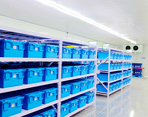 醫(yī)療器械冷庫多少錢一平方