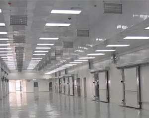 物流配送冷庫(kù)（生鮮冷庫(kù)）設(shè)計(jì)安裝造價(jià)多少