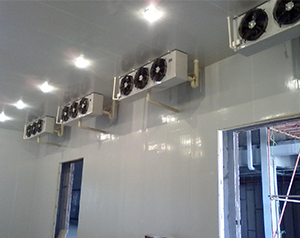 100噸水果冷庫(kù)造價(jià)是多少錢一平方米？