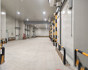 紅薯能在保鮮庫儲存嗎？儲存方法是什么？