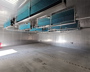 防爆冷庫防爆標(biāo)志為ⅡCT4防爆等級(jí)