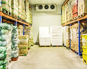 400平方果蔬冷庫總共大概價(jià)格要多少錢？果蔬冷庫造價(jià)