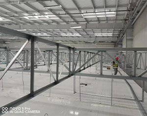 鋼結(jié)構(gòu)冷庫設(shè)計_鋼結(jié)構(gòu)冷庫造價要多少錢？