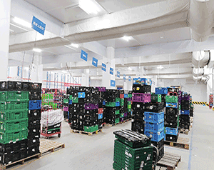 100噸冷庫造價大概多少錢？