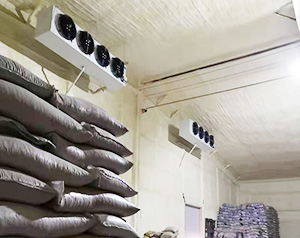 種子冷庫建造，種子冷庫溫度要求