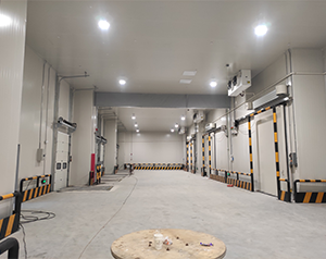 四川1500平方食品冷庫設(shè)計(jì)報(bào)價(jià)預(yù)算多少？