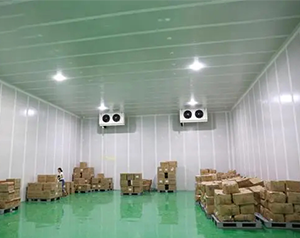 蔬菜物流冷庫造價成本與哪些因素有關(guān)？