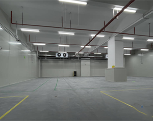 內(nèi)蒙古葡萄氣調冷庫建造廠家