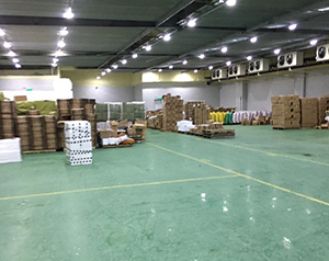 專業(yè)定做食品冷凍庫公司