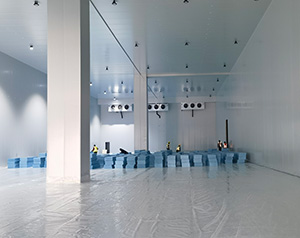 正常情況下國(guó)標(biāo)冷庫(kù)建設(shè)每平方多少錢(qián)？