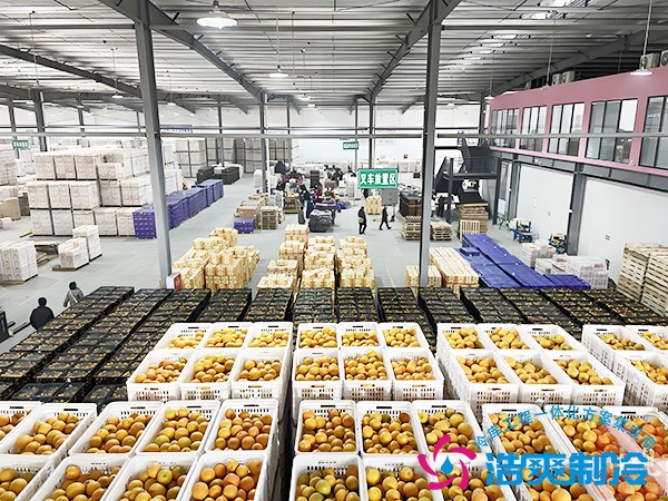 2000噸柑橘冷庫(kù)造價(jià)成本