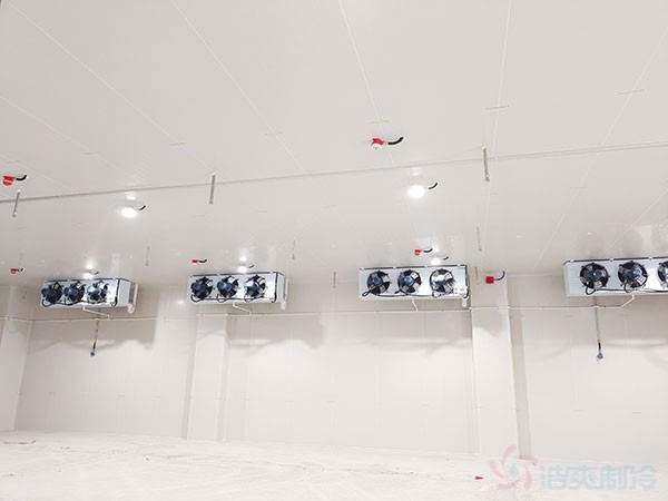 防爆冷庫與普通冷庫差異詳解