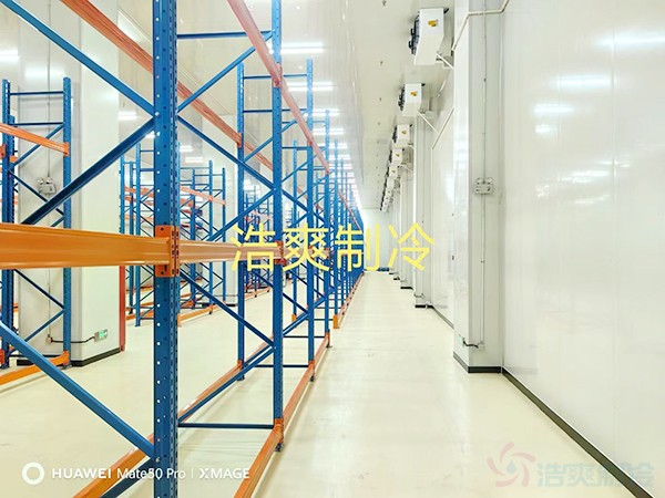 三類醫(yī)療要求冷凍室和冷藏室多大？造價預算多少錢？