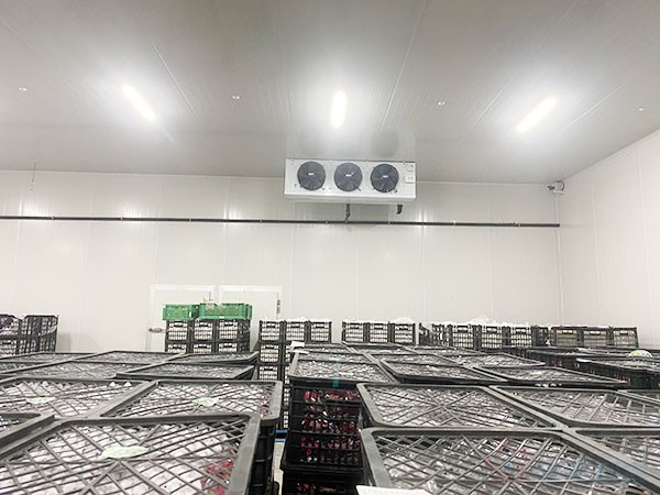 金針菇冷庫和香菇冷庫建造價格是如何計算的?