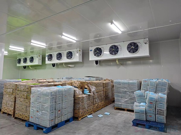 大型工業(yè)藥品冷庫建設(shè)安裝價格大概多少錢？