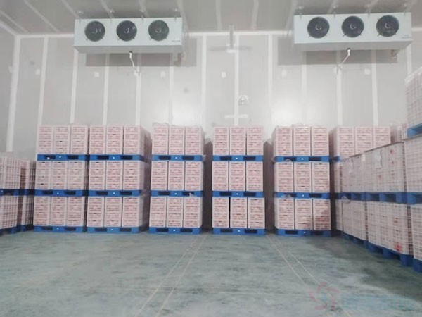 湖南水果氣調(diào)冷庫造價(jià)