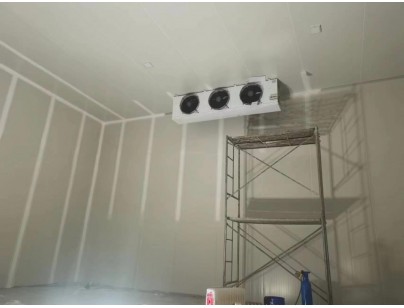 浙江仙居股份經(jīng)濟(jì)合作社羊肚菌氣調(diào)保鮮冷庫建造工程案