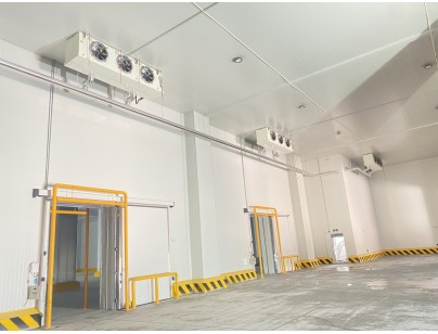 杭州盒馬48000m3生鮮配送型冷鏈物流園冷庫建造工程案例