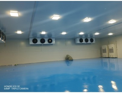 艾美科健物管部2-8℃酶載體樹脂材料專用冷庫工程案例