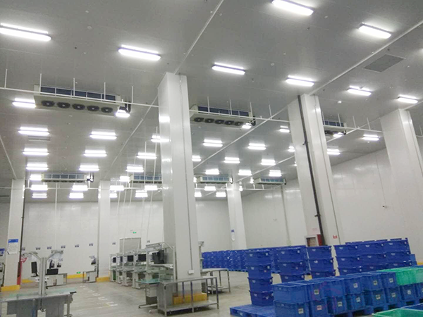 魚類養(yǎng)殖冷庫