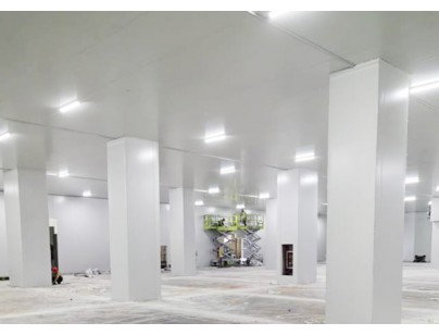 深圳望家歡智慧產(chǎn)業(yè)園一期大型食品冷庫建造工程案例