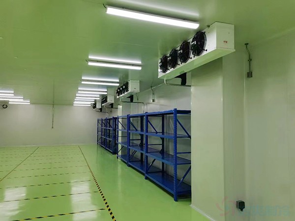 生物制品冷庫建設