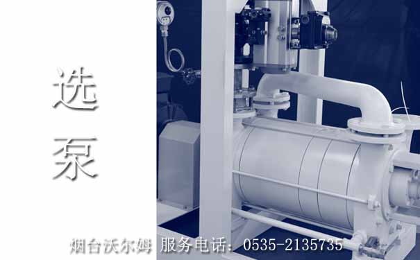 選泵，煙臺沃爾姆真空泵選型，助你選擇適合的真空系統(tǒng)解決方案